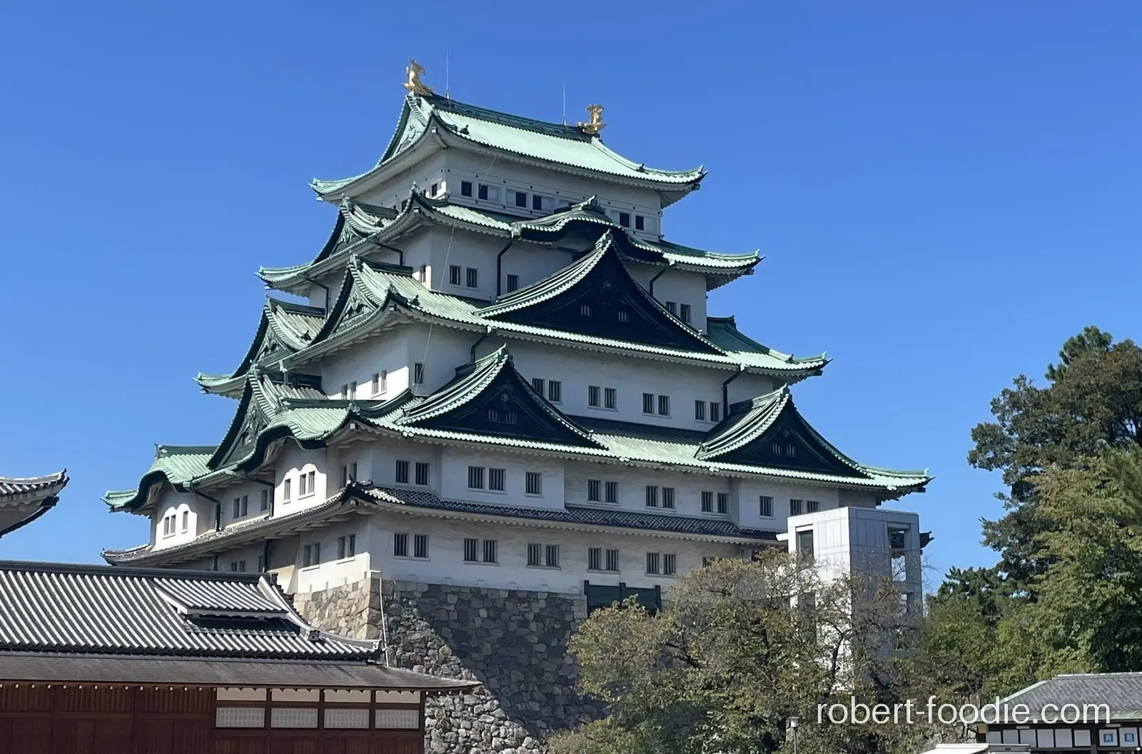 名古屋城天守閣，青綠色屋頂兩端可見金鯱，左前方是本丸御殿的屋頂